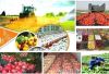 ایجاد قرارگاه امنیت غذایی در راستای (رصد و پایش ) تنظیم بازار در شهرستان رودبار  